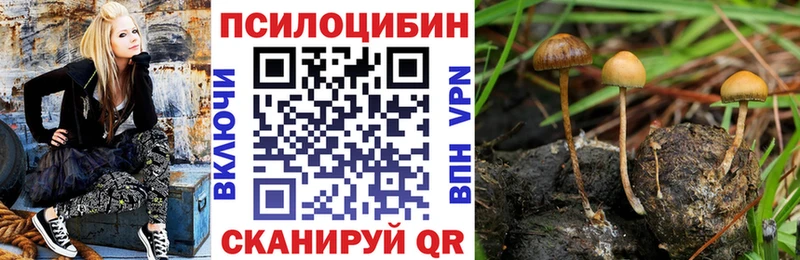 купить  сайты  Коркино  Галлюциногенные грибы мухоморы 